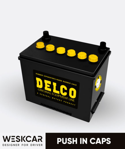 Delco battery push in caps kit
