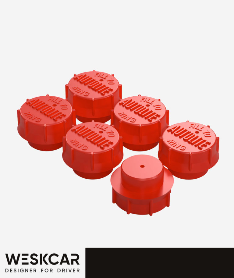 Autolite Battery Group 24 SV24R red (196570) Push in Caps kit WESKCAR