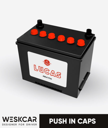 Lucas Battery FRV117A (1965-70) Push in Caps kit